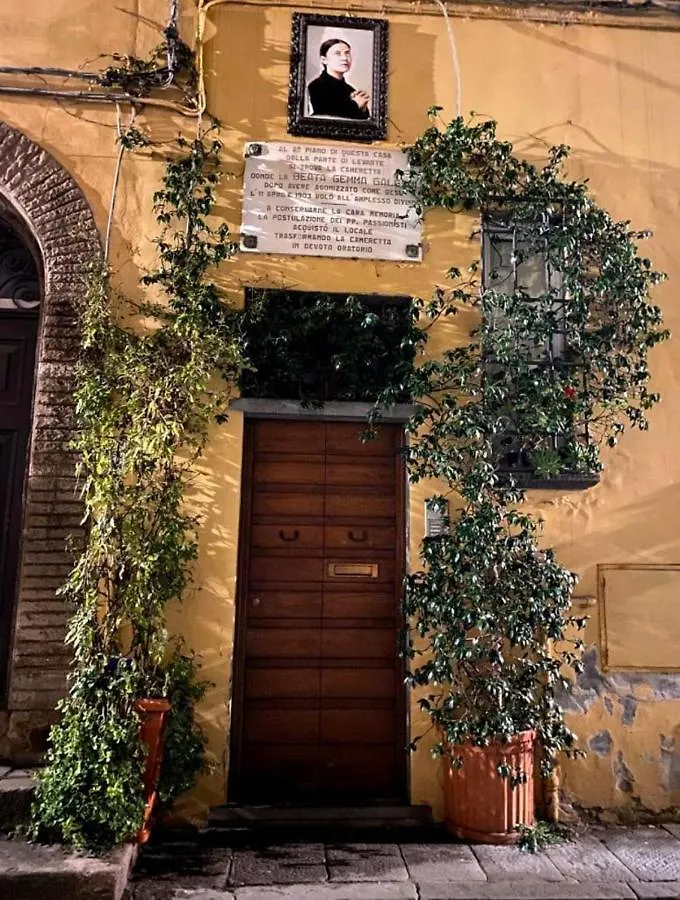 La Terrazza Di Sofia Lägenhet Lucca